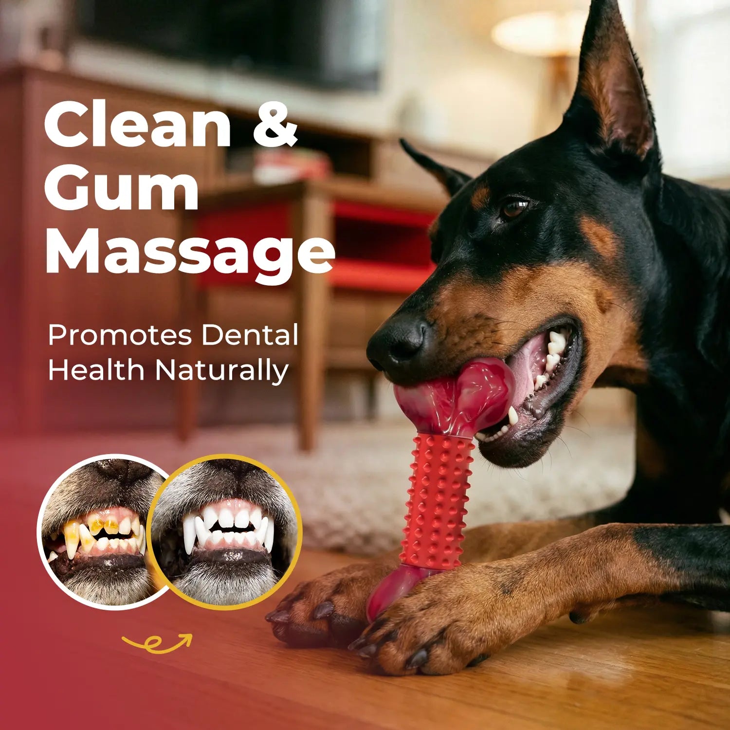 Apasiri Indestructible Chew Toy for Large Breeds - Durable Interactive Toy for Strong Dogs and Dental Health
