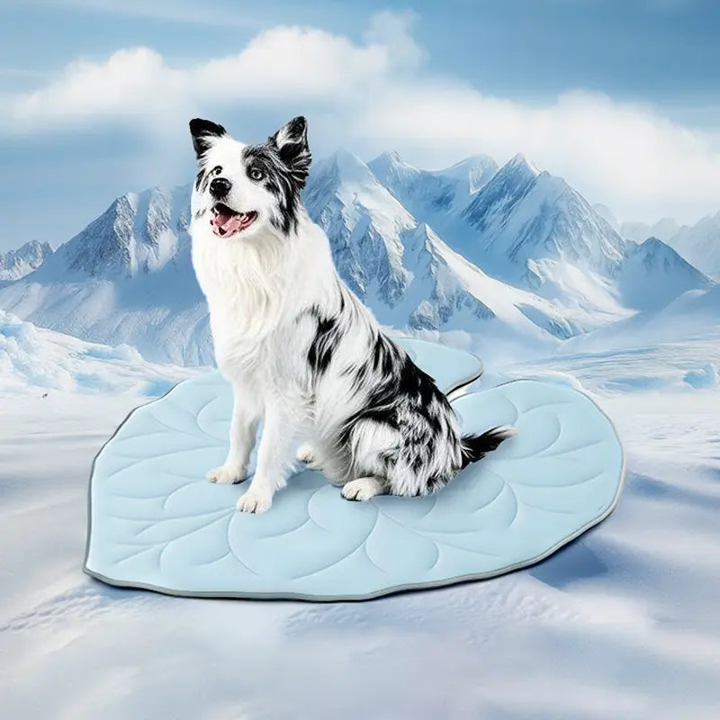 Vagascape Eco-Friendly Cooling Pet Mat for Large Dogs and Cats - Portable, Machine Washable, Durable Cooling Pad for Indoor and Outdoor Use