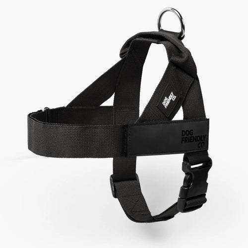 Dog Friendly Co. No-Pull Harness - Easy Fit Design for All Dogs - Comfortable, Secure, and Chafe-Resistant Adjustable Straps