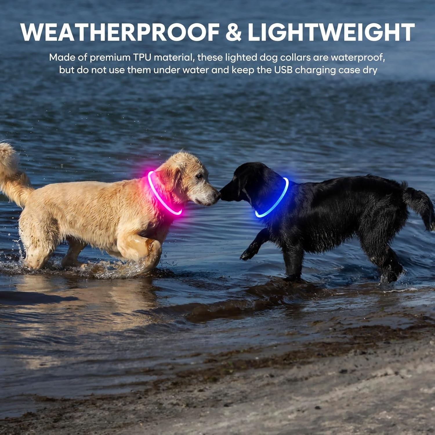 Illuminate Your Dog's Safety with Our Waterproof LED Pink Dog Collar - Rechargeable, Cuttable, and Perfect for Night Walks!