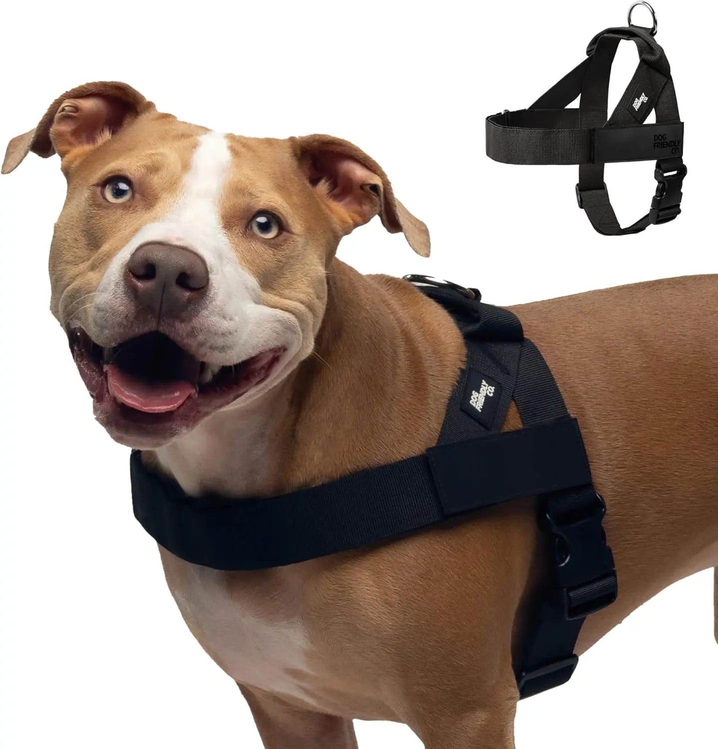 Dog Friendly Co. No-Pull Harness - Easy Fit Design for All Dogs - Comfortable, Secure, and Chafe-Resistant Adjustable Straps