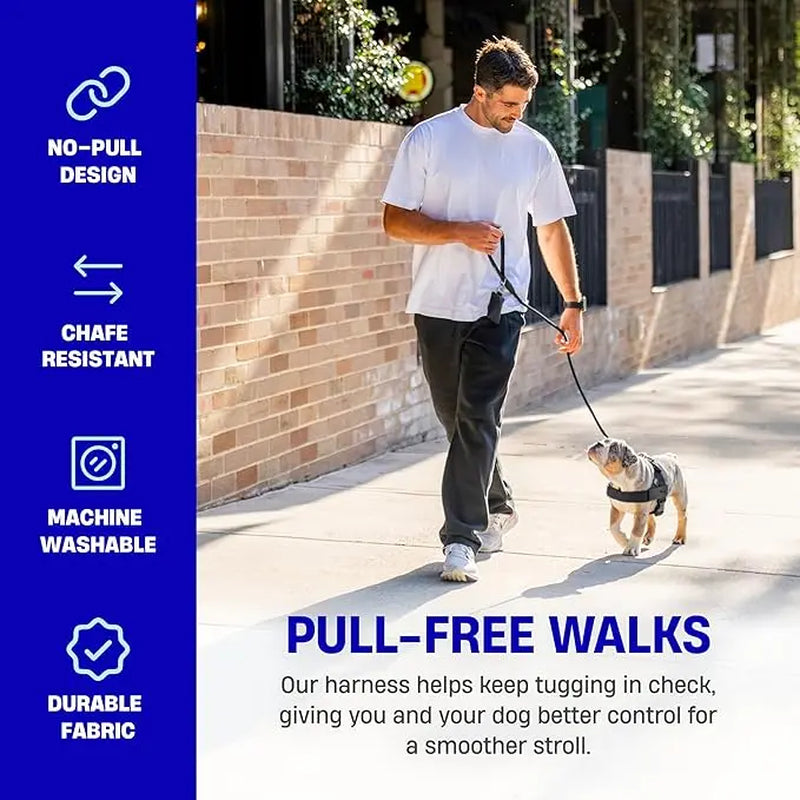 Dog Friendly Co. No-Pull Harness - Easy Fit Design for All Dogs - Comfortable, Secure, and Chafe-Resistant Adjustable Straps