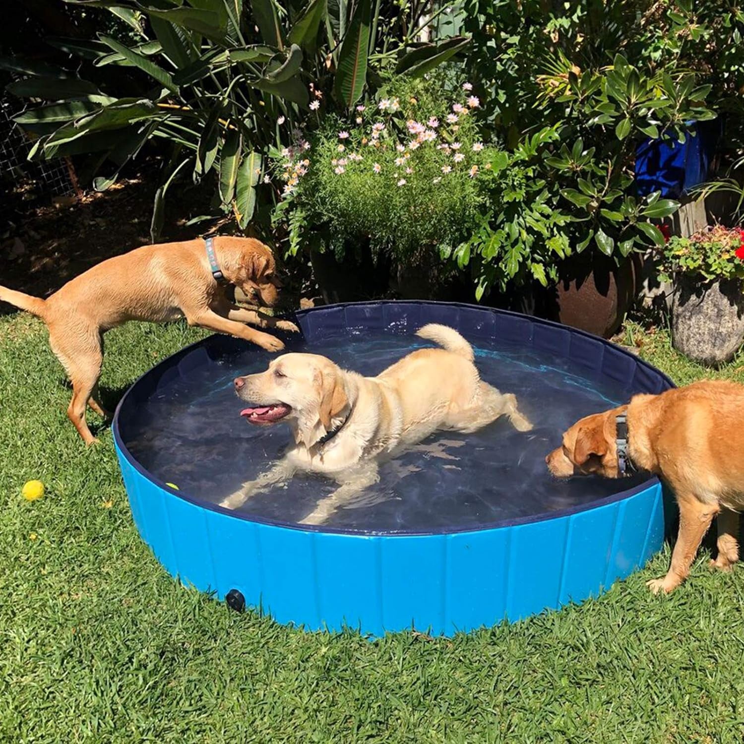 Ultimate Foldable Dog Pool - Collapsible Anti-Slip PVC Bathtub for Large Dogs and Kids - Perfect for Summer Fun!
