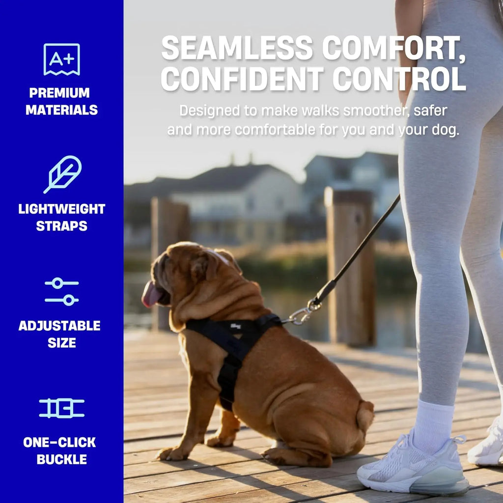 Dog Friendly Co. No-Pull Harness - Easy Fit Design for All Dogs - Comfortable, Secure, and Chafe-Resistant Adjustable Straps