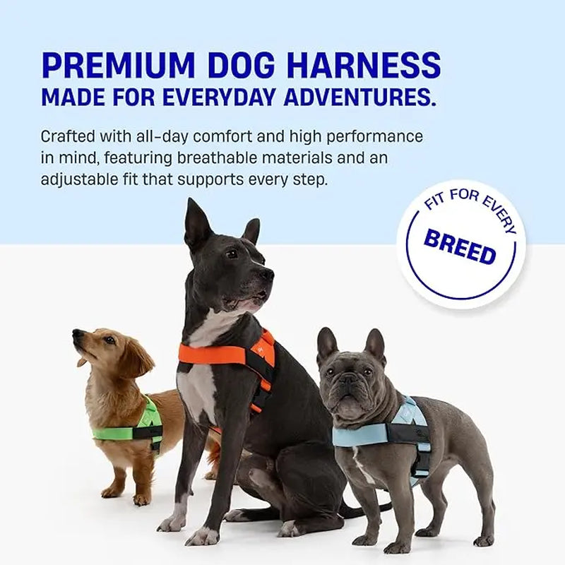 Dog Friendly Co. No-Pull Harness - Easy Fit Design for All Dogs - Comfortable, Secure, and Chafe-Resistant Adjustable Straps